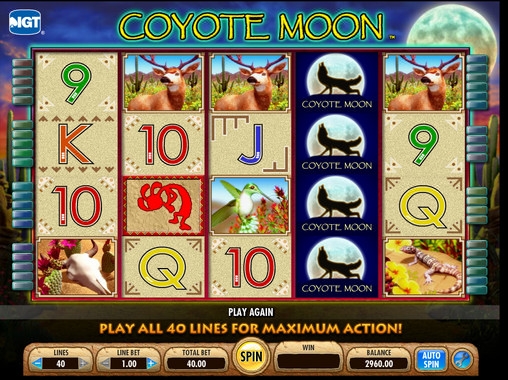 Coyote Moon (Coyote Moon) from category Slots