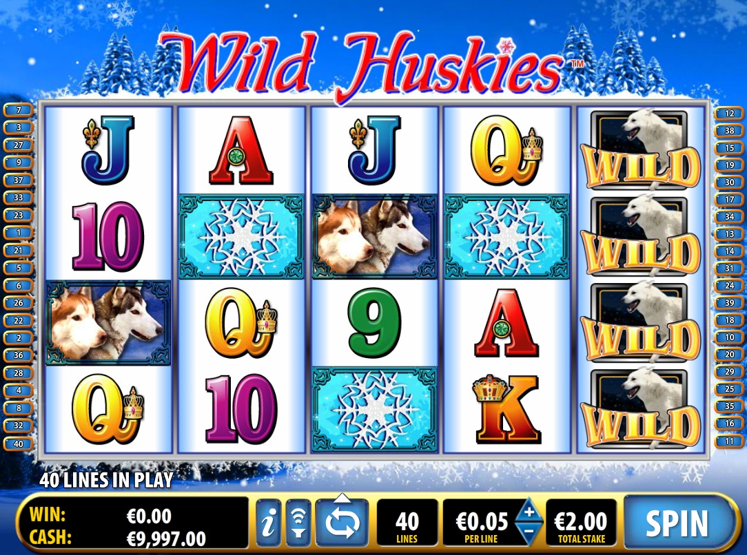 Wild Huskies (Wild Huskies) from category Slots