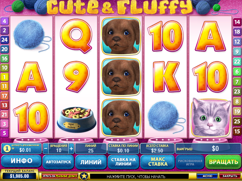 Cute and Fluffy (Cute and Fluffy) from category Slots