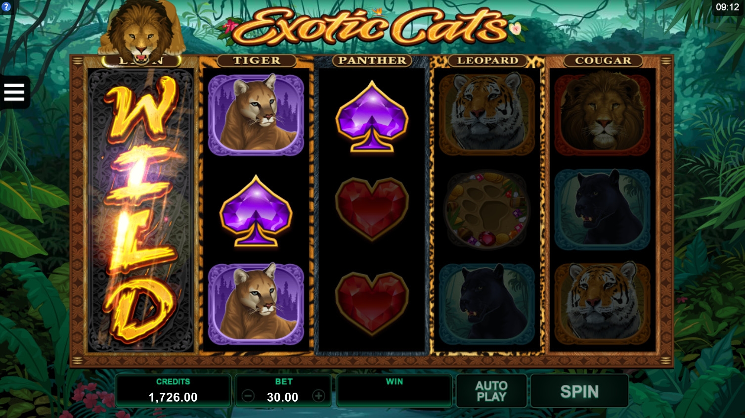 Exotic Cats (Exotic Cats) from category Slots