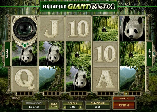 Untamed Giant Panda (Untamed Giant Panda) from category Slots