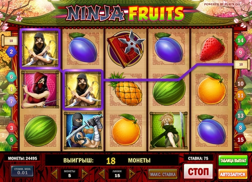 Ninja Fruits (Ninja Fruits) from category Slots