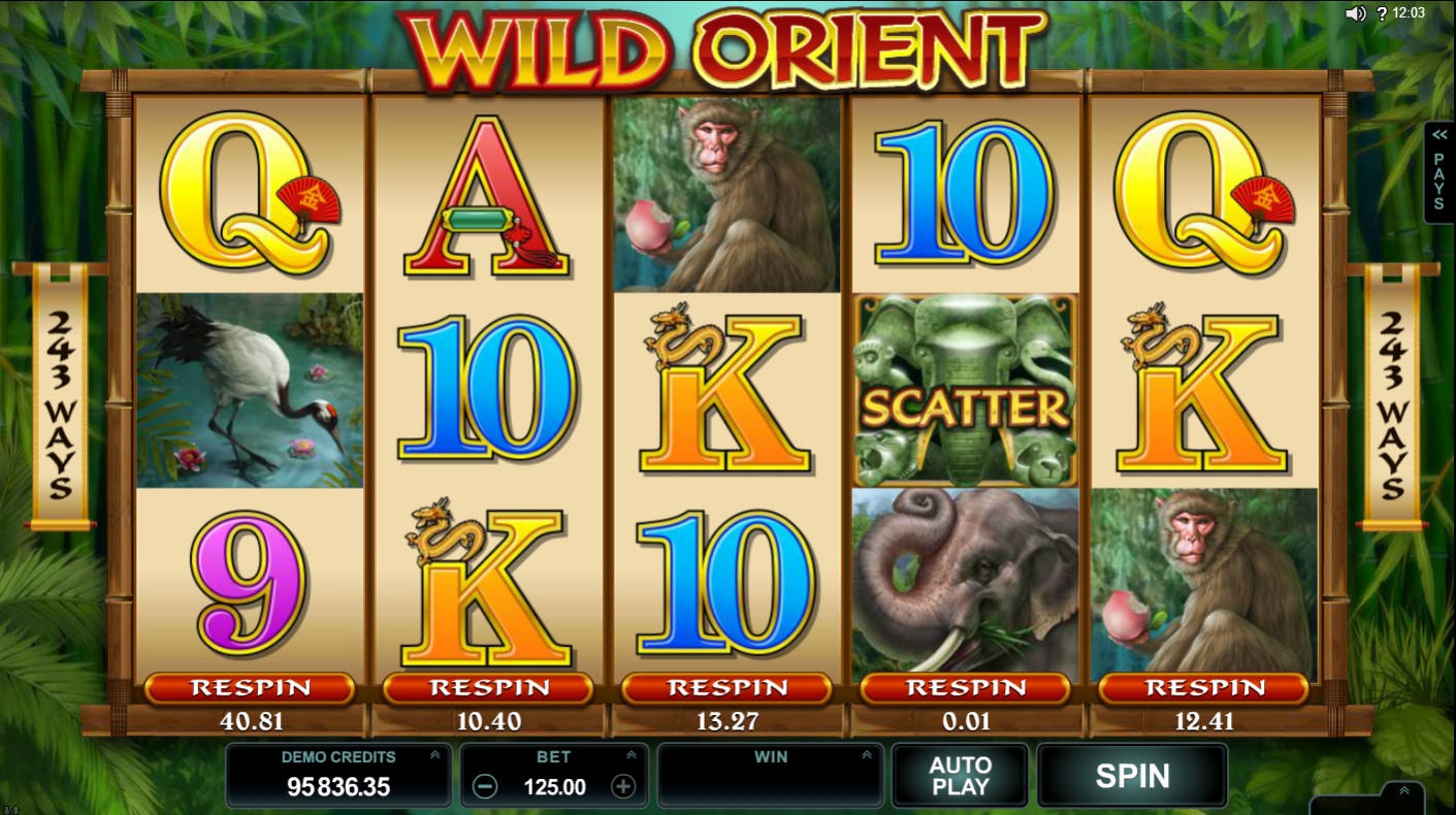 Wild Orient (Wild Orient) from category Slots