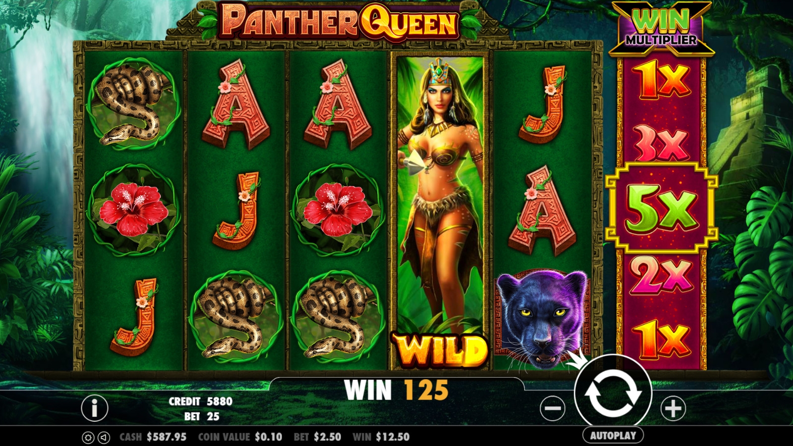 Panther Queen (Panther Queen) from category Slots