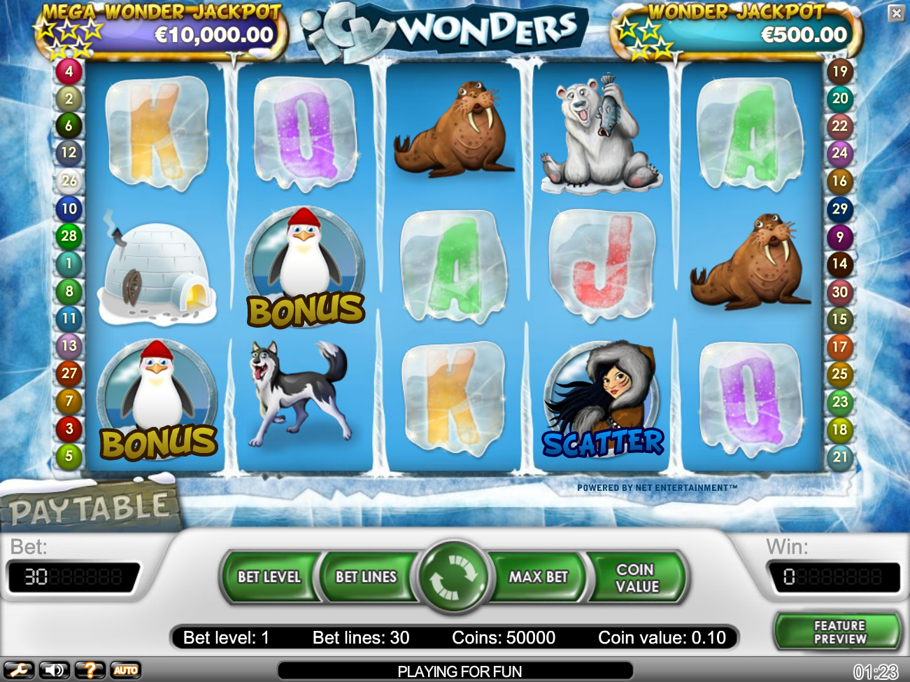 Icy Wonders (Icy Wonders) from category Slots