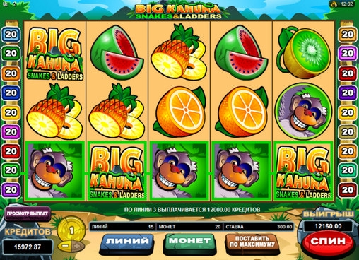 Big Kahuna: Snakes and Ladders (Big Kahuna: Snakes and Ladders) from category Slots