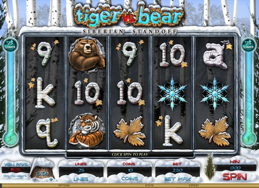 Tiger vs. Bear – Siberian Standoff (Tiger vs. Bear – Siberian Standoff) from category Slots